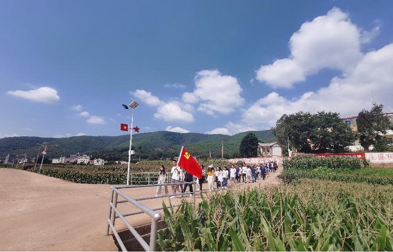 1694165945150306.jpg 3.jpg